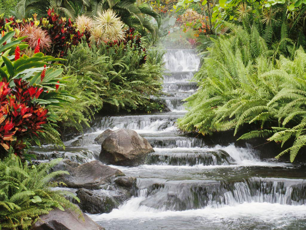 The Principles of The Nature – 1) What is the Law of Natural Balance?