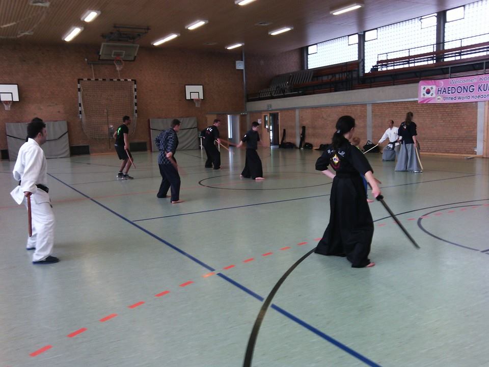 2014 Feedback of German Haedong Kumdo Seminar in Spanish and English