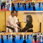 A través del 2017 Seminario Jinyoung Ssangkum Ryu en México